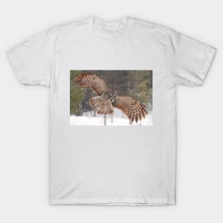 Awesome! - Great Grey Owl T-Shirt